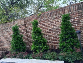 Кирпичный забор сплошной 12 метров фото в Жилёво